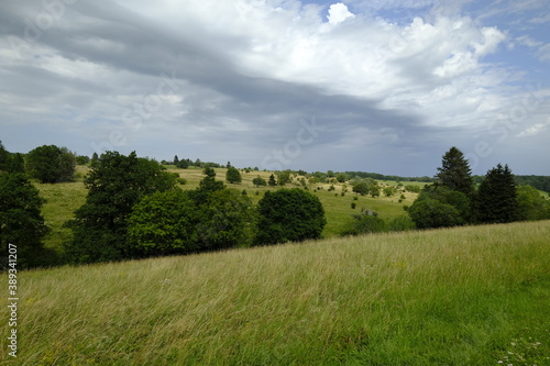 Das Naturschutzgebiet Lange Rhön in der Kernzone des Biosphärenreservat Rhön, Bayerischen Rhön, Landkreis Rhön-Grabfeld, Unterfranken, Bayern, Deutschland