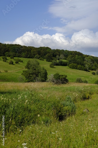 Das Naturschutzgebiet Lange Rh  n in der Kernzone des Biosph  renreservat Rh  n  Bayerischen Rh  n  Landkreis Rh  n-Grabfeld  Unterfranken  Bayern  Deutschland