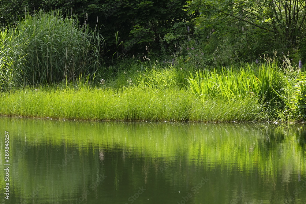Das Naturschutzgebiet Lange Rhön in der Kernzone des Biosphärenreservat Rhön, Bayerischen Rhön, Landkreis Rhön-Grabfeld, Unterfranken, Bayern, Deutschland Das Naturschutzgebiet Lange Rhön in der Kernzone des Biosphärenreservat Rhön, Bayerischen Rhön, Landkreis Rhön-Grabfeld, Unterfranken, Bayern, Deutschland