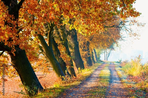 Autumn on the dam of Jistebnik ponds in Moravia in the Czech Republic. Ostrava region.