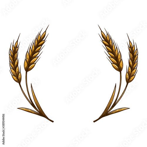 Illustration of wreath of wheat in engraving style. Design element for emblem, sign, poster, card, banner, flyer. Vector illustration