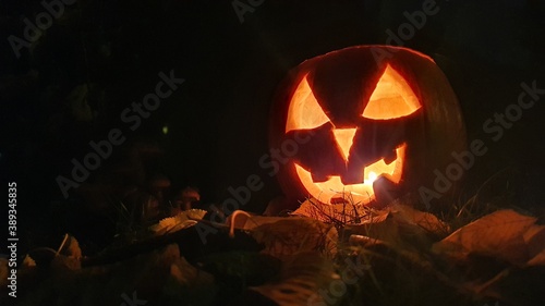 Halloween Kürbis bei Dunkelheit photo