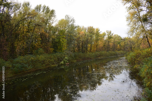 river in autumn