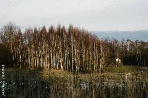 Drewniana ambona czatownia na skraju lasu w jesiennej scenerii