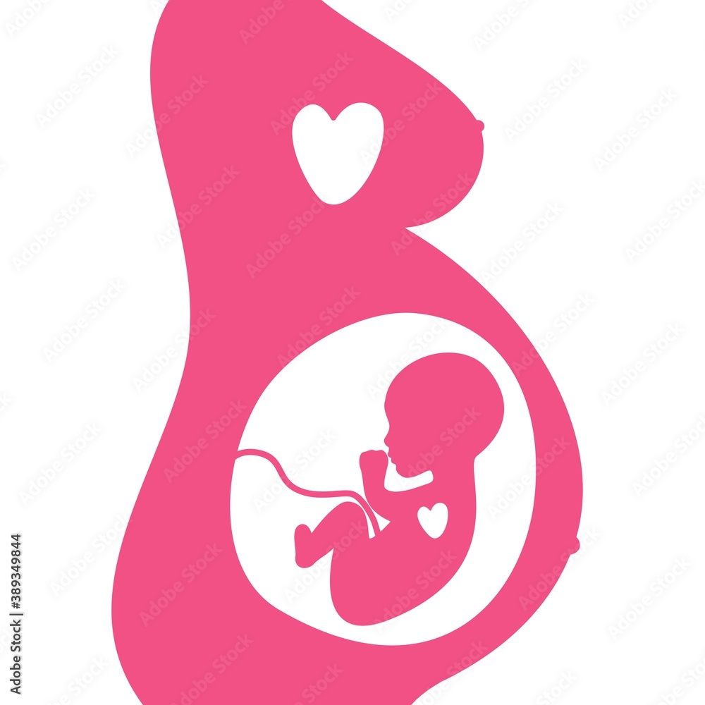 Silhouette of a baby in a female womb Silhouette of a baby in a female womb