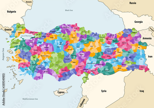Turkey distrcts colored by provinces vector map with neighbouring countries and territories