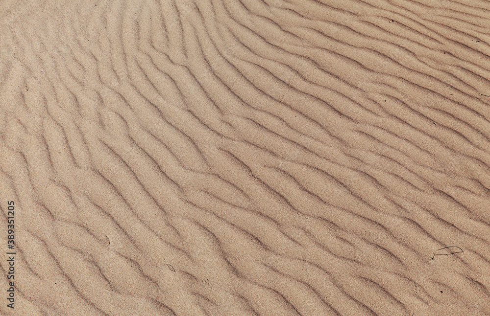Fuerteventura, Canary Islands, nature park Dunes of Corralejo at the north of the island Fuerteventura, Canary Islands, nature park Dunes of Corralejo at the north of the island