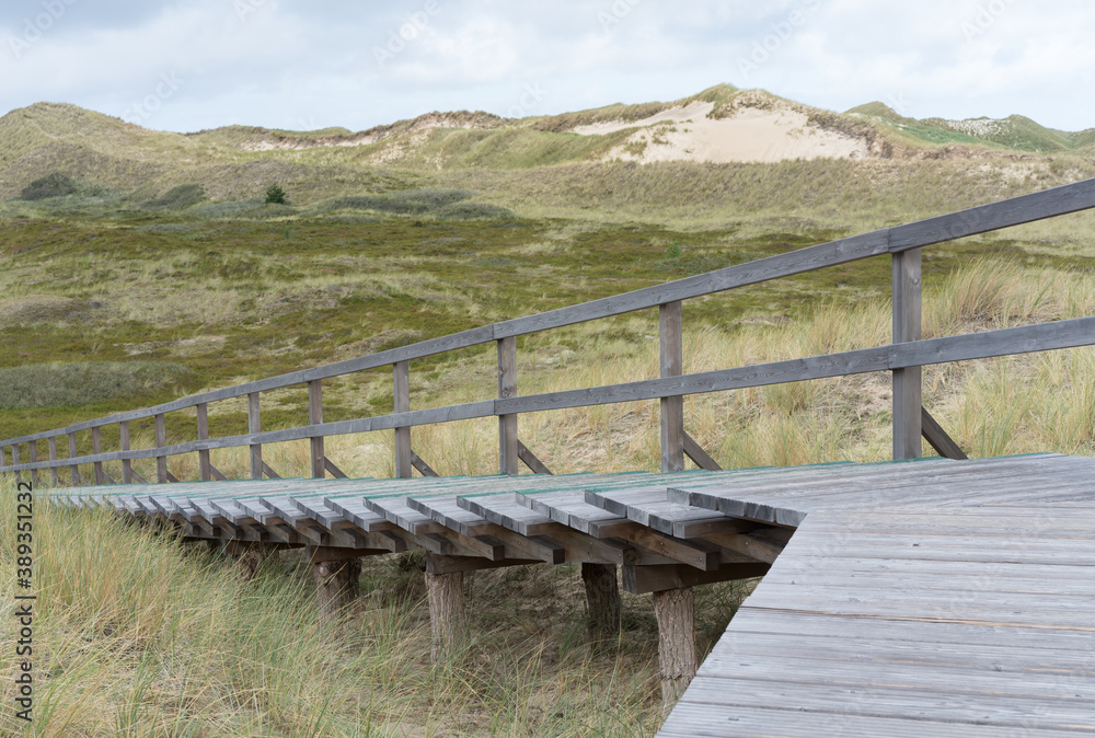 Weg in den Dünen von Amrum an der Nordseeküste Weg in den Dünen von Amrum an der Nordseeküste