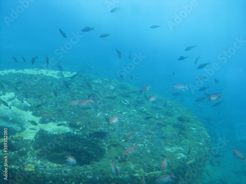 Hiking and diving on the volcanic Cabo Verde islands in Africa