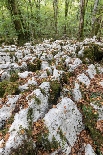 The karstic trail of Malrochers from Jura, France photo