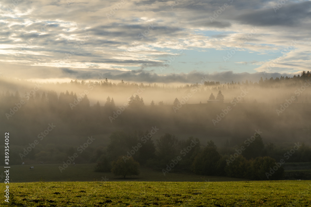 sunrise in misty mountain valley with green fields and fall color forest