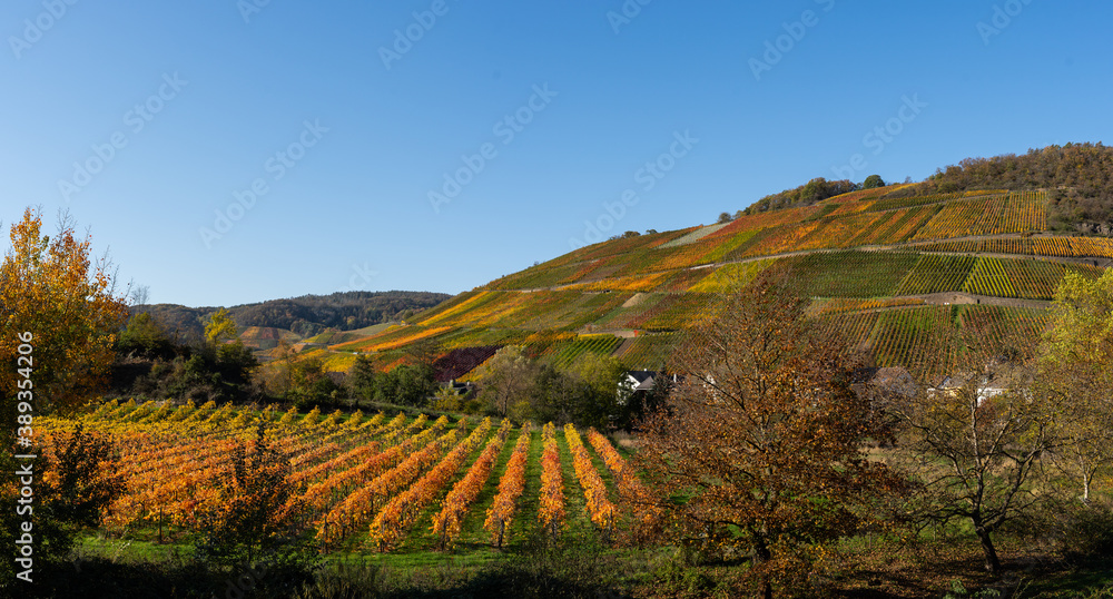 Hiking in the Ahr valley on a sunny autumn day on the red wine trail