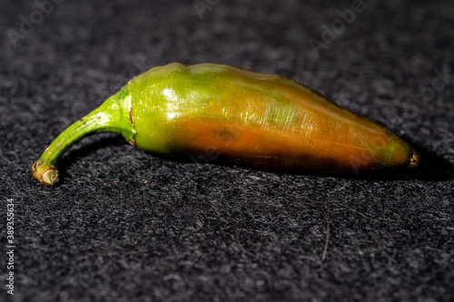 Nahaufnahme chilli photo