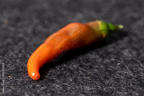 Nahaufnahme chilli photo