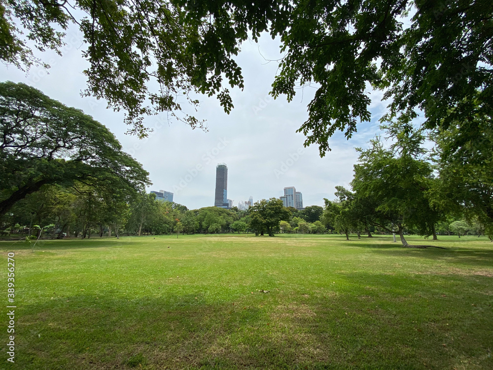 city view across park in Bangkok 