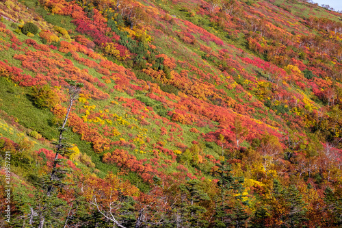 北海道・大雪山系の赤岳で見た、銀泉台の紅葉 © 和紀 神谷