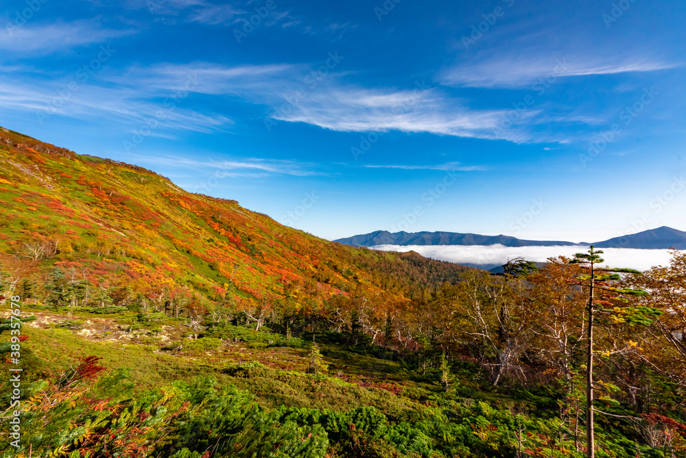 北海道・大雪山系の赤岳で見た、色鮮やかな銀泉台の紅葉と青空、迫り来る雲海