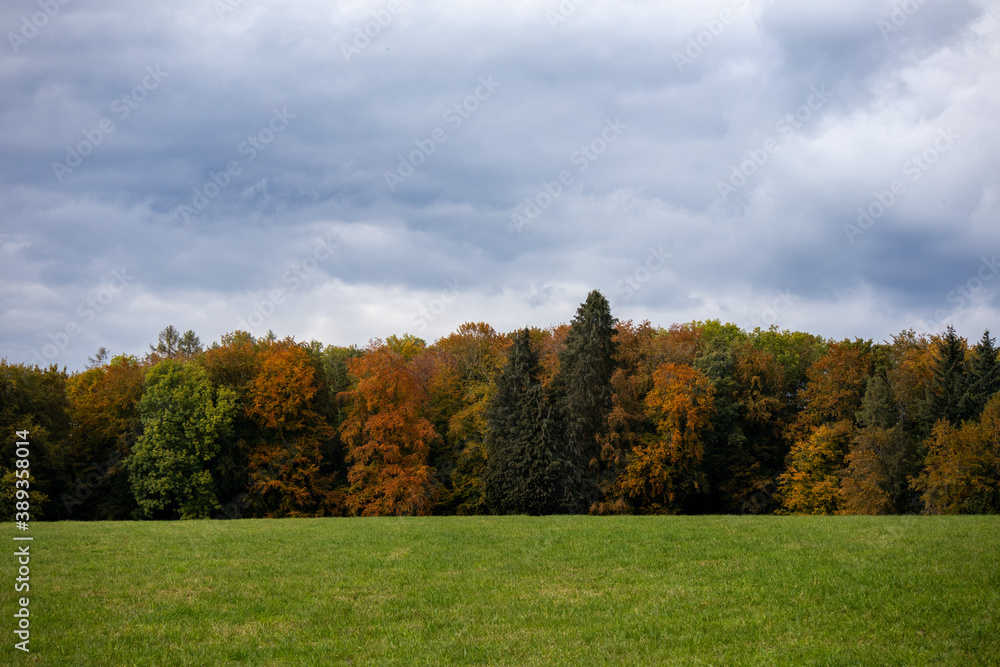 Herbstwälder