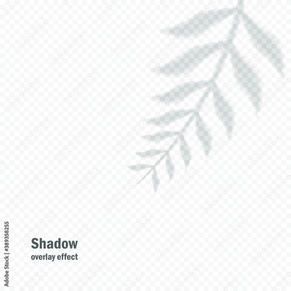 Vector shadow overlay effect. Transparent soft light and shadows from branches, plant and leaves. Mockup of transparent leaf shadow and natural lightning. Vector shadow overlay effect. Transparent soft light and shadows from branches, plant and leaves. Mockup of transparent leaf shadow and natural lightning.