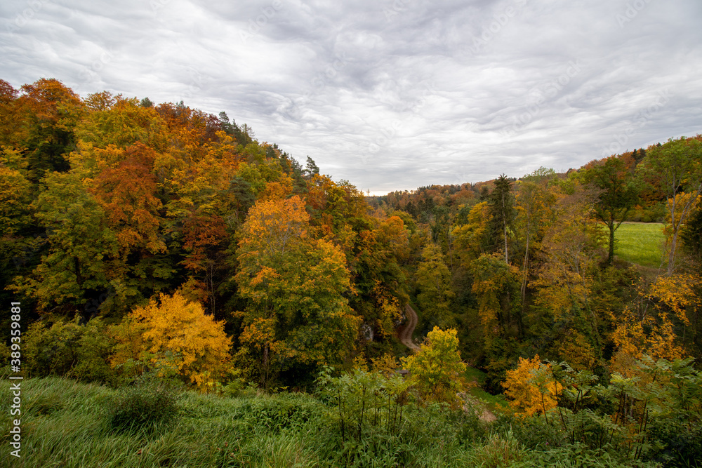 Die bunten Wälder im Herbst