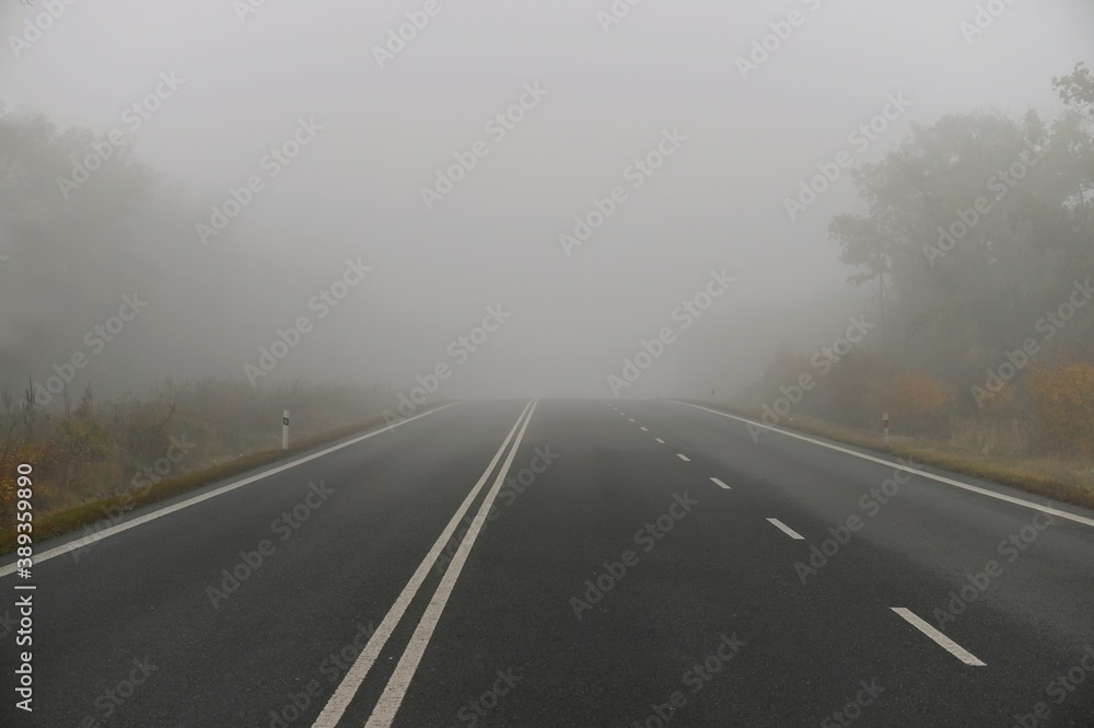 Road in the fog. Autumn season.