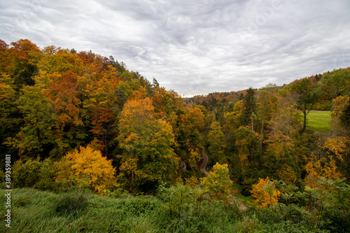 Die bunten Wälder im Herbst