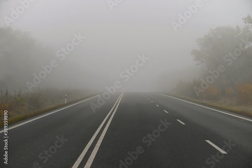Road in the fog. Autumn season.