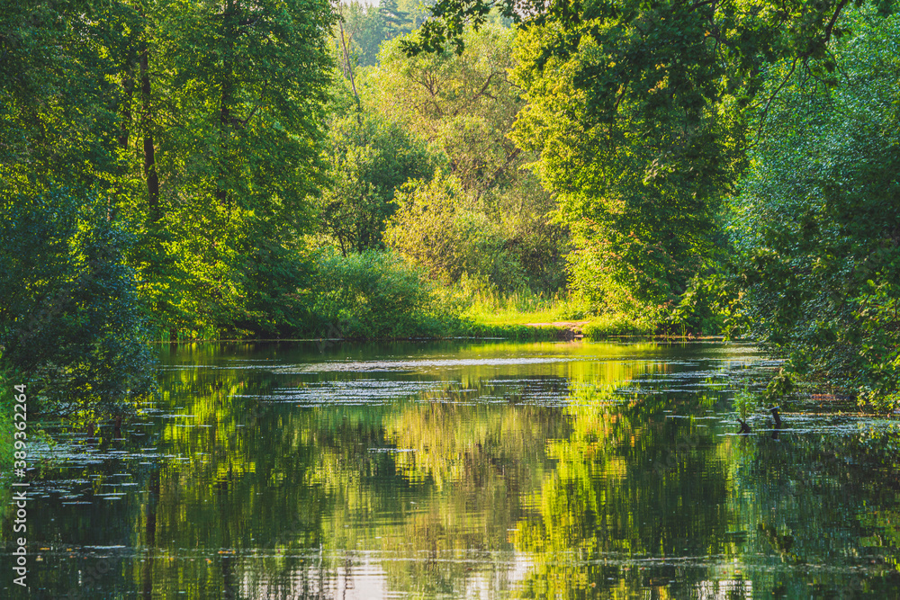 Forest lake with reflection of trees in the water Forest lake with reflection of trees in the water