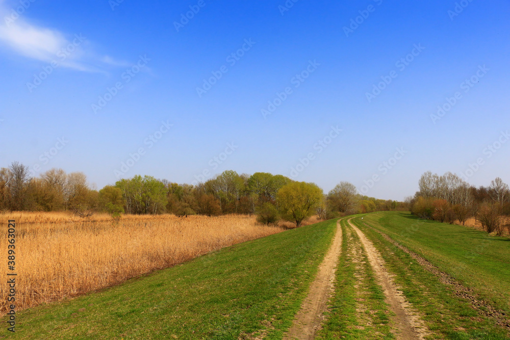 Summer landscape with green grass Summer landscape with green grass