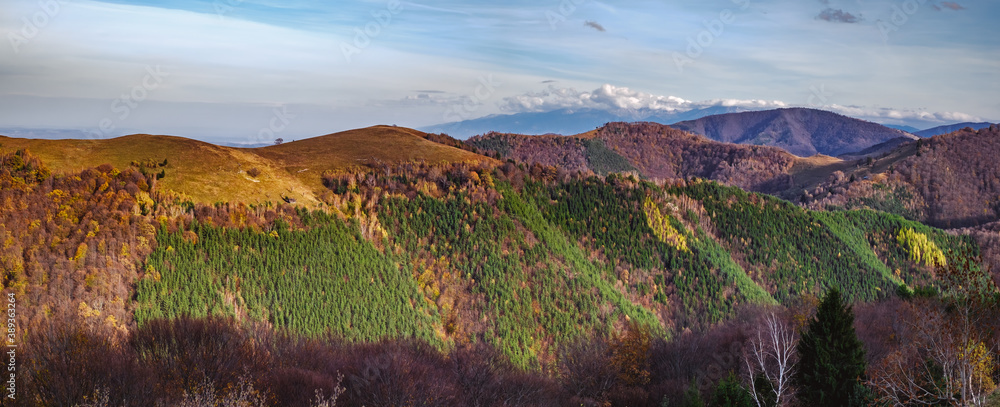 Mountains in the fall season, Paltinis area, Sibiu county, Romania