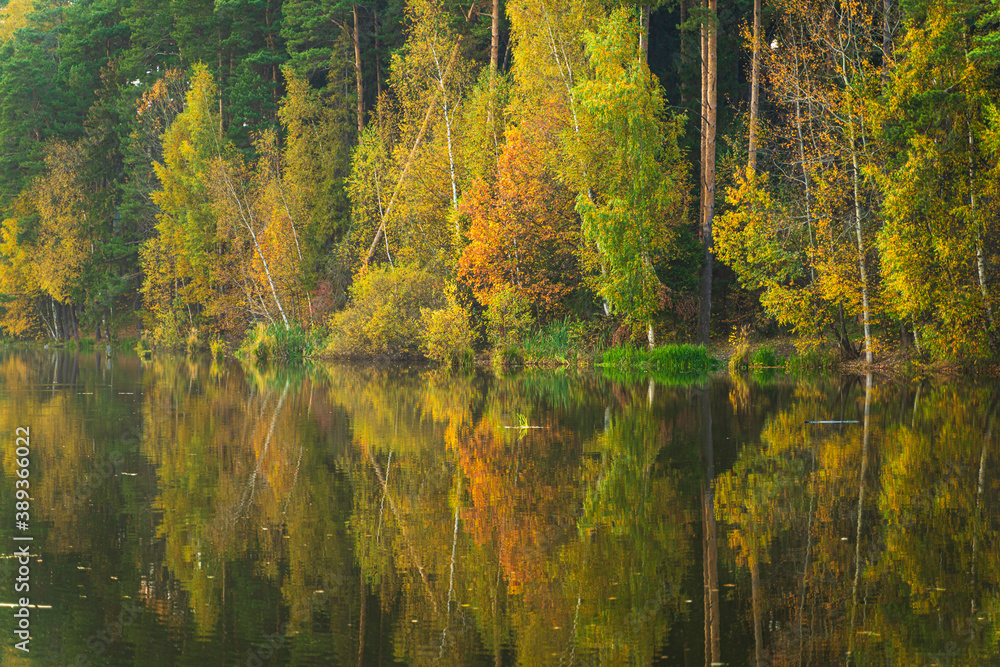 Autumn trees reflected in water in Moscow Region, Russia