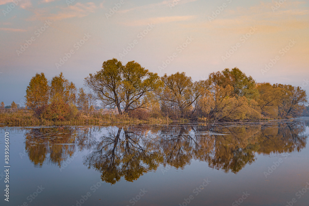 Obraz premium Autumn trees reflected in water in Moscow Region, Russia