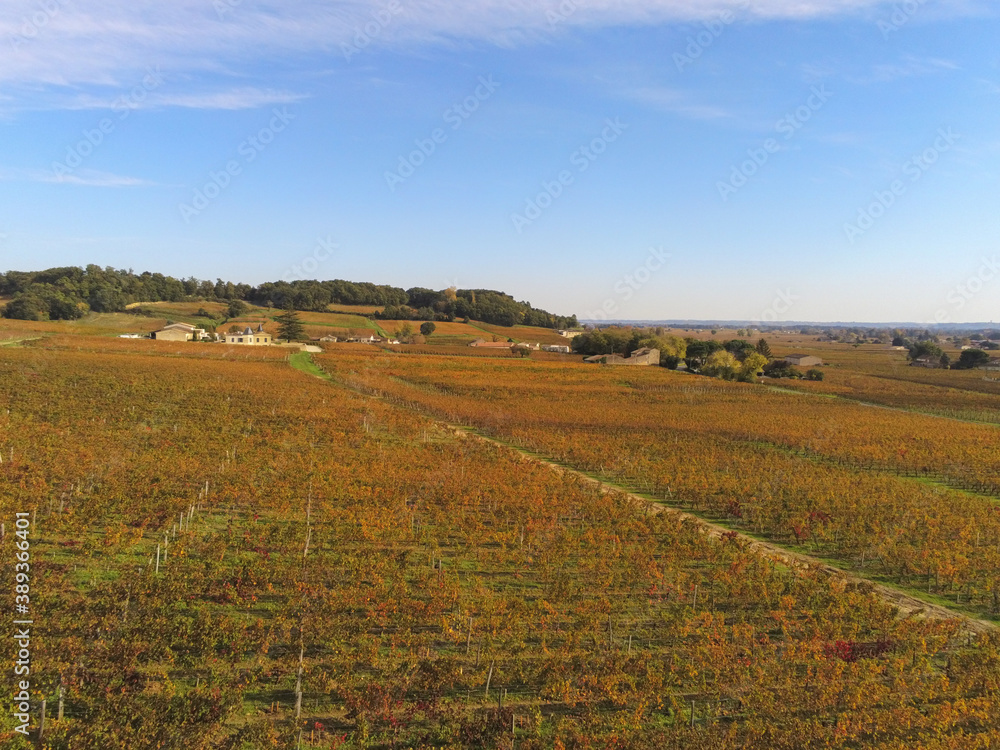 Vignes à Saint Emilion en Gironde, vue aérienne