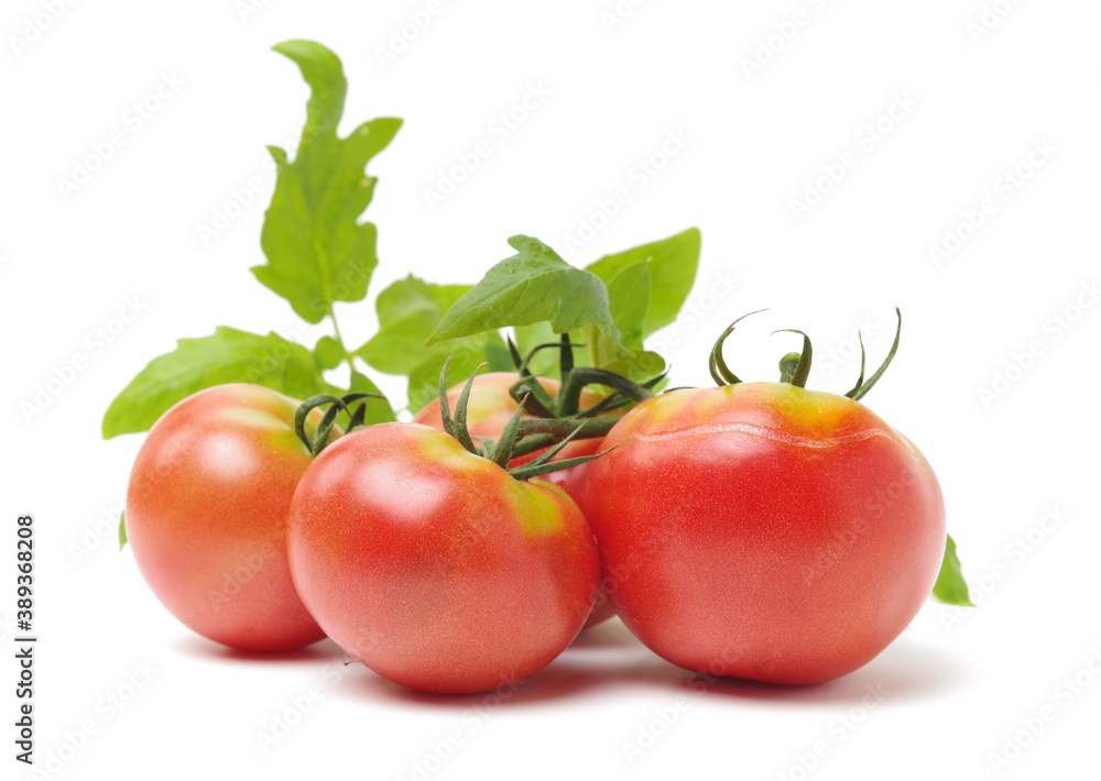 Fresh tomatoes on white background. Fresh tomatoes on white background.