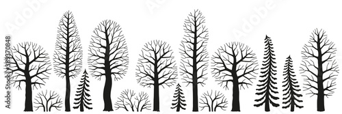 Mysterious forest. Vector black silhouette trees and spruce and bushes isolated on white background. Branches without leaves. Forest elements for design