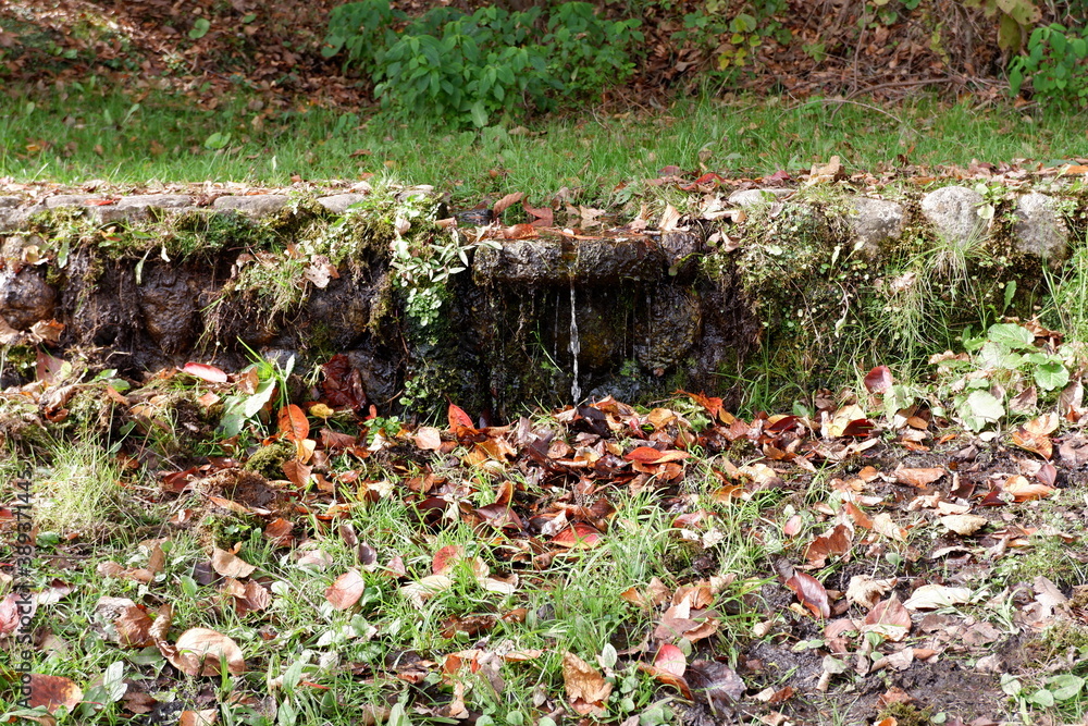 Obraz premium おいらせ 白鳥公園