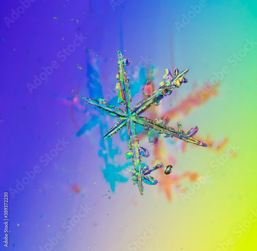 Snowflakes on a rainbow background.