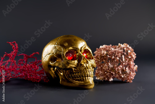 halloween still life with golden skull with scarlet eyes with pink hydrangea on a dark background and red plant