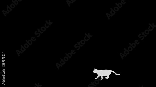 Cat silhouette walk loop pattern A