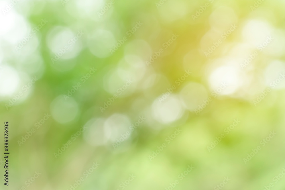 Bright glowing green nature background in the form of bokeh. Natural defocus art abstract blur tones with sun rays wallpaper.