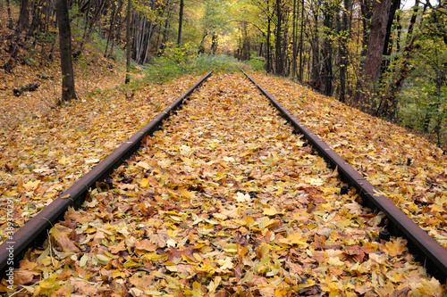 Autumn leaves on a defunct railway line - stockphoto