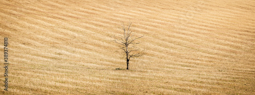 Global warming UK landscape, huge panorama