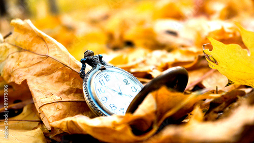 watch on autumn leaves