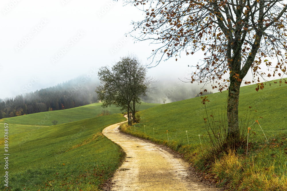 Beautiful Schwartzwald - rural gravel road through a green farm fields. Cloudy autumn morning