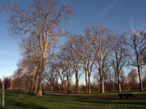 Hyde park at the beginning of winter