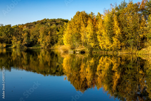 A beautiful little lake called Schnepfensee in Germany at a sunny day in Autumn with a colorful forest reflecting in the water.