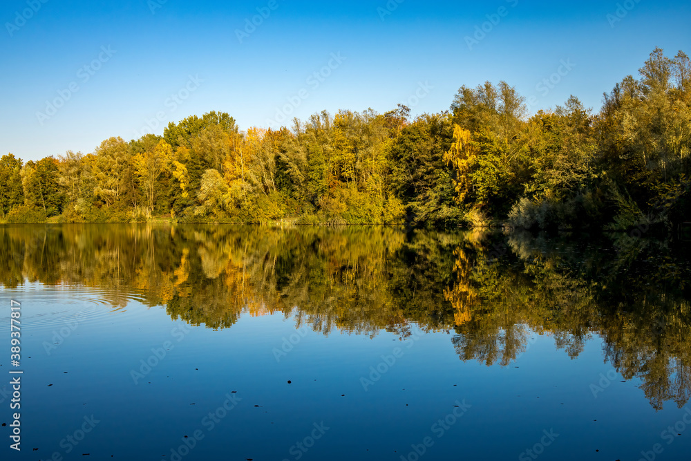 A beautiful little lake called Schnepfensee in Germany at a sunny day in Autumn with a colorful forest reflecting in the water. A beautiful little lake called Schnepfensee in Germany at a sunny day in Autumn with a colorful forest reflecting in the water.