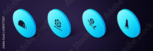 Set Isometric Canadian spruce, Curling sport game, Ferris wheel and Igloo ice house icon. Vector.