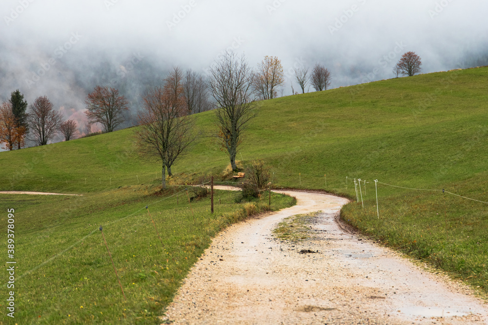Beautiful Schwartzwald - rural gravel road through a green farm fields. Cloudy autumn morning