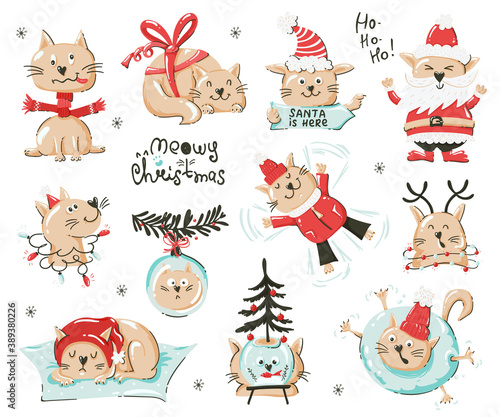 Christmas set of funny cats